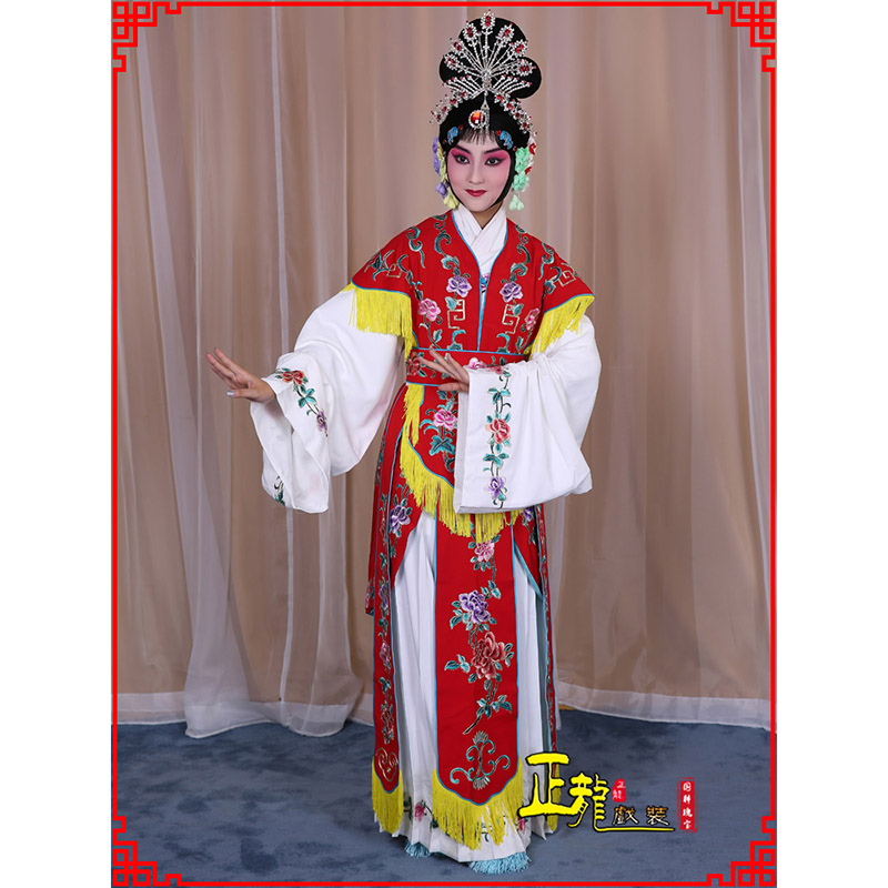 中山戏曲服装舞台演出红娘装